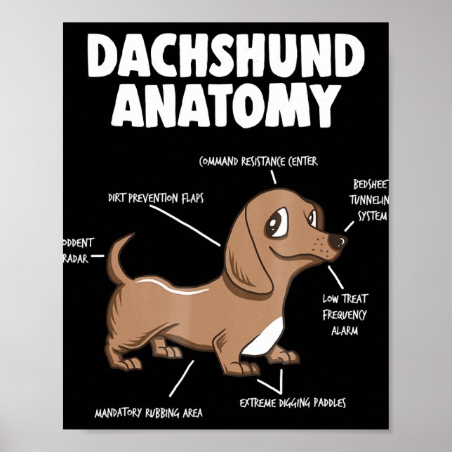 Hund Gift | Anatomy Dachshund Funny Weiner Poster (Framsidan)