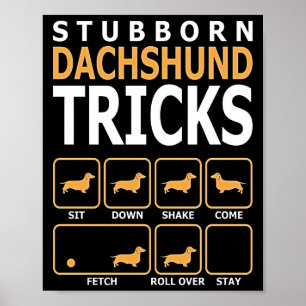 Hund Gift Stubborn Dachshund Tricks Poster