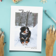 Hund Glad Howlidays Husdjurs Foto