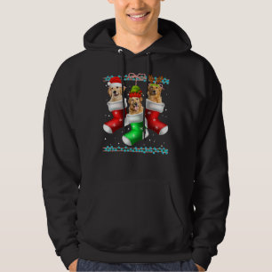 Hund Golden Retriever-julsockel 372 Hoodie