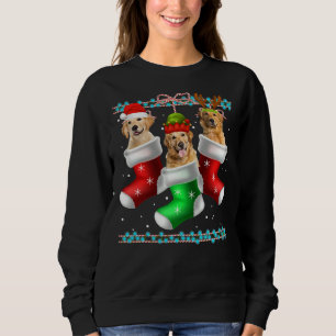 Hund Golden Retriever-julsockel 372 T Shirt