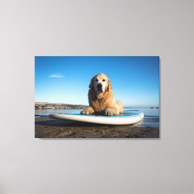Hund Golden Retriever på en häftklammer Canvastryck (Framsida)