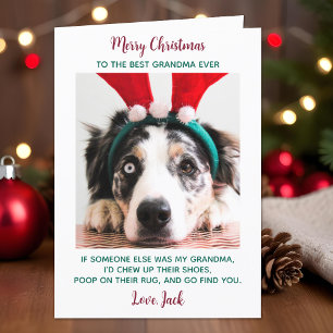 Hund Grandma Funny Anpassningsbar Pet Photo God ju Helgkort