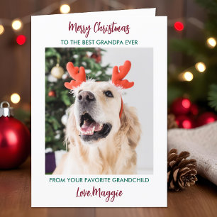 Hund Grandpa Personlig Pet Photo God jul Helgkort