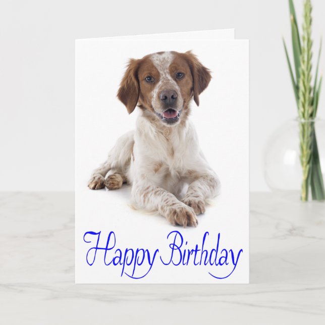 Hund Grattis på födelsedagen Brittany Puppy Kort (Framsida)
