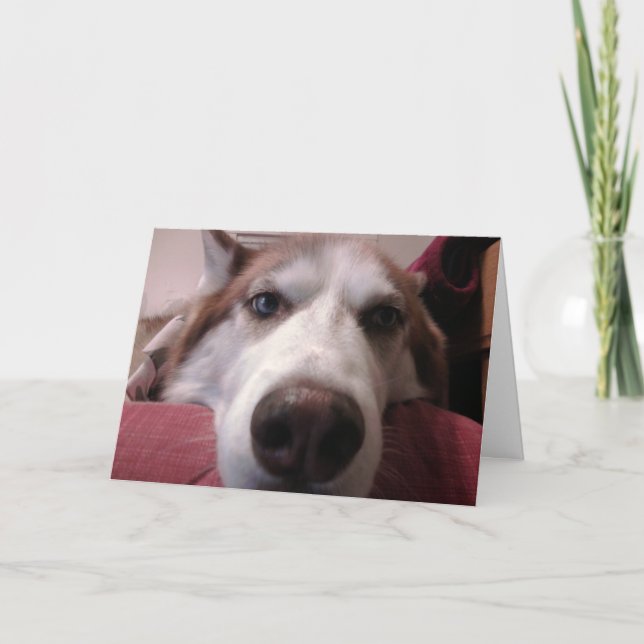 Hund Greeting Card Kort (Framsida)