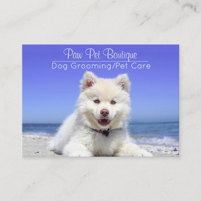 Hund Groomer Djuromsorg Puppy Walker Visitkort (Framsida)