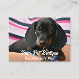 Hund Groomer Djuromsorg Puppy Walker Visitkort