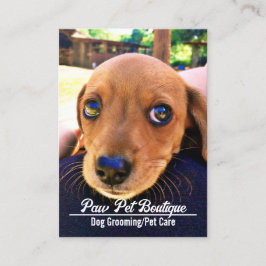 Hund Groomer Djuromsorg Puppy Walker Visitkort