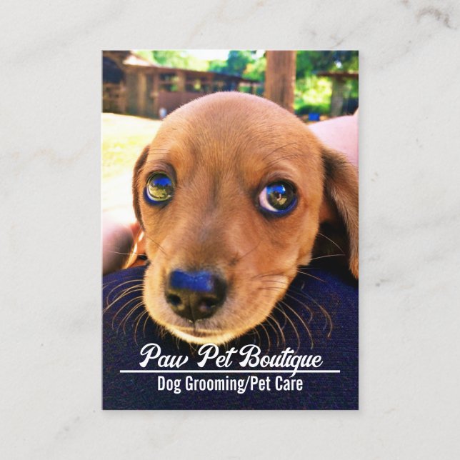 Hund Groomer Djuromsorg Puppy Walker Visitkort (Framsida)