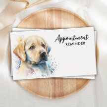 Hund Groomer Pet Sitter Gult Labour Cute Puppy