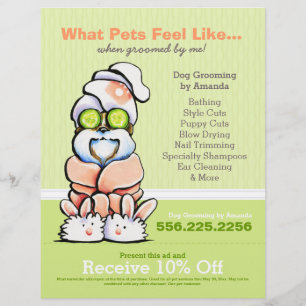Hund Groomer Spa Shih Tzu Cucumber Coupon Ad Reklamblad