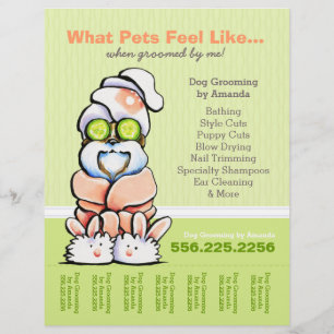 Hund Groomer Spa Shih Tzu Cucumber Tear Lakan Reklamblad