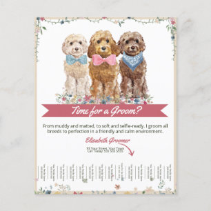 Hund Groomer Tear Lakan Flyer