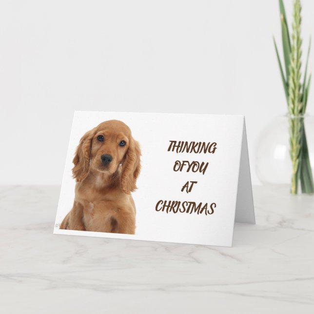 HUND GROOMER, VETERINÄR OCH DOG WALKER KORT (Framsida)