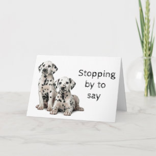 HUND GROOMER, VETERINÄR OCH DOG WALKER KORT