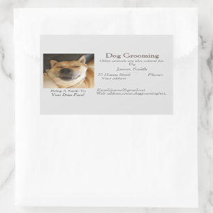 hund Grooming and djuromsorg services medicine med Rektangulärt Klistermärke