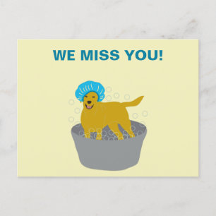 Hund Grooming Business Hund Groomers Promotional Vykort