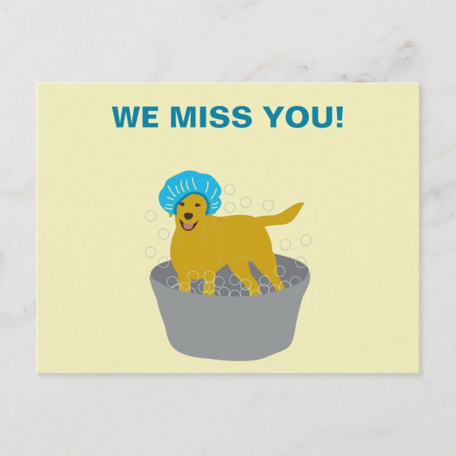 Hund Grooming Business Hund Groomers Promotional Vykort (Framsida)
