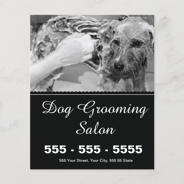 Hund Grooming Flyer - anpassningsbar (Framsidan)