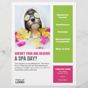 Hund Grooming Flyer-Spa Reklamblad