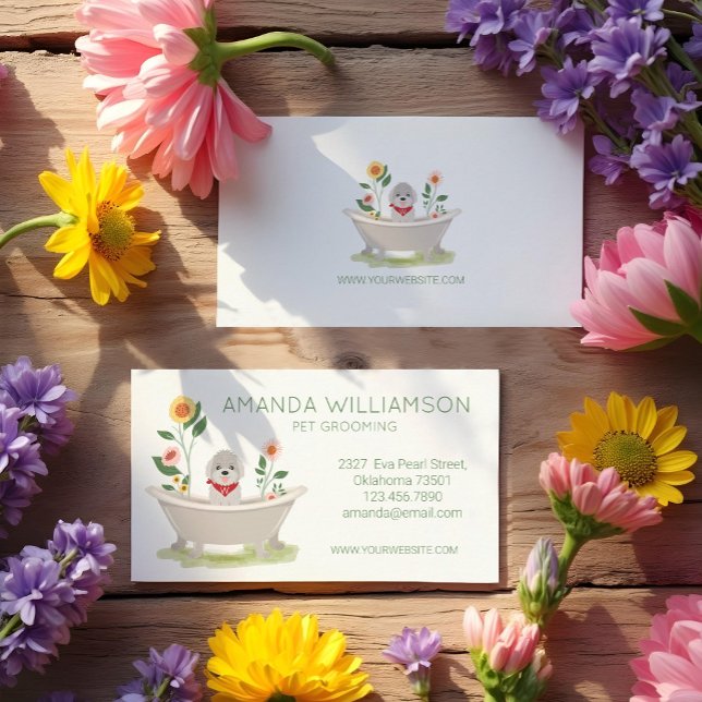 Hund Grooming Maltese Pudel Hund in Bathtub Visitkort (Dog Grooming Maltese Poodle Dog In Bathtub Business Card)