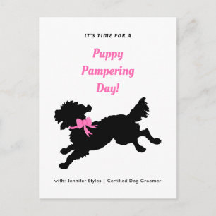 Hund Grooming Möte Rosa Bow Black Puppy Vykort