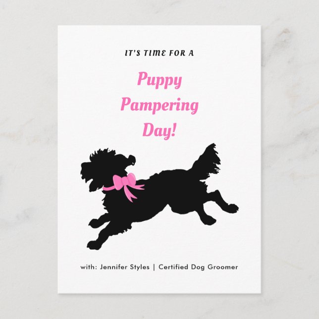 Hund Grooming Möte Rosa Bow Black Puppy Vykort (Framsida)