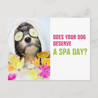 Hund Grooming Postcard-Spa Vykort