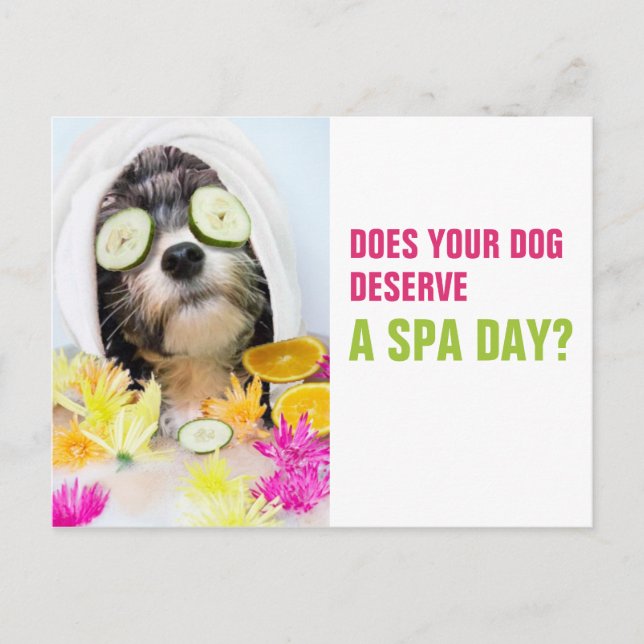 Hund Grooming Postcard-Spa Vykort (Framsida)
