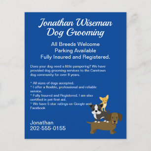 Hund Grooming Salon Business Flygblad