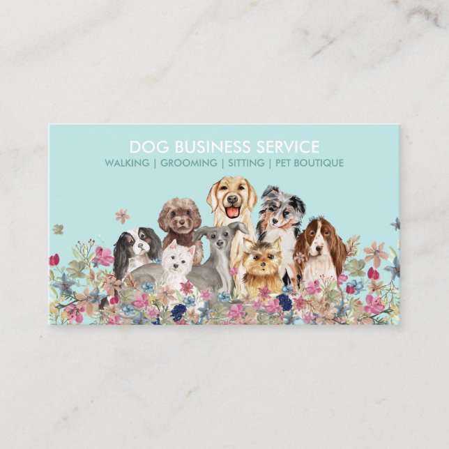 Hund Grooming Walking Sitta Service Visitkort (Framsida)
