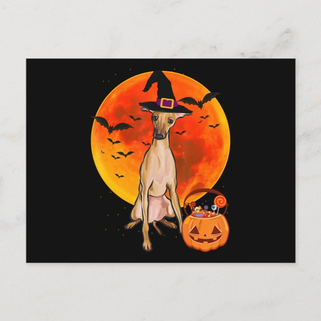 hund halloween italiensk greyhound jack o lantern  helg vykort (Framsida)