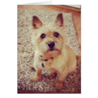 Hund Hälsningskort