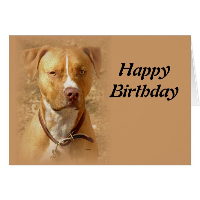 hund hälsningskort (Framsidan Horizontal)