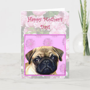 hund-hälsningskort för Lycklig Mors dag Pug Kort