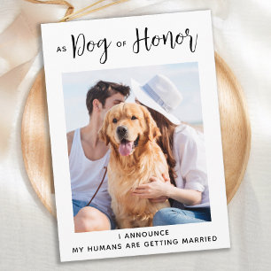 Hund Honor Pet Bröllop Hund Spara Datumet