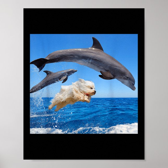 Hund hoppar med delfin för män kvinnor  poster (Framsidan)