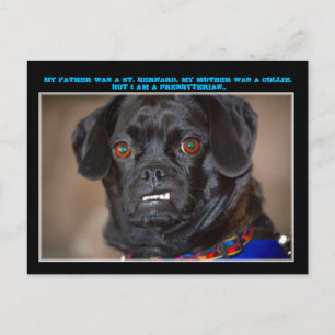 "Hund Humor" vykort