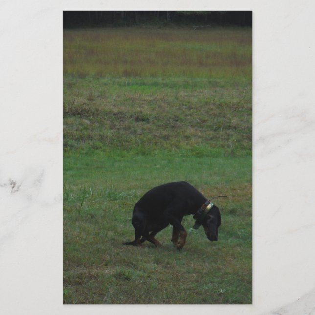 Hund hund ge upp inköpet brevpapper (Framsida)