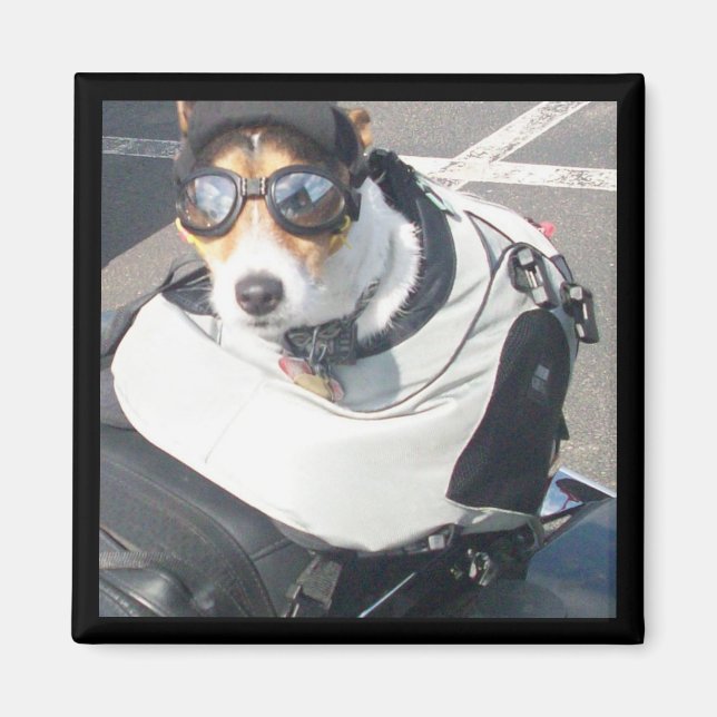 Hund Hund-kylskåp, magnet (Framsidan)