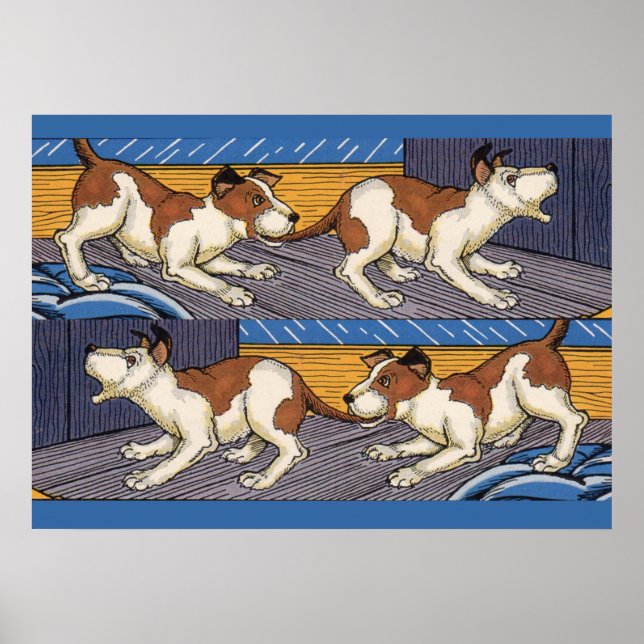 Hund hund poster (Framsidan)