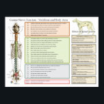 Hund Hund Spinal Nerves funktion Veterinär Poster<br><div class="desc">I hund poster en lista över kroppsfunktioner som har samband med ryggraden och nervsystemet i hund. Möjliga symtom förknippade med dysfunktion i ryggraden och påverkan på nervsystemet. Uppförd i ryggrad från halskotan till korsbenet. Effekter av rygglesioner från ryggradssegment och hur dessa lesioner kan påverka gång och ryggreflexer. För använda av...</div>