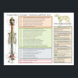 Hund Hund Spinal Nerves funktion Veterinär Poster<br><div class="desc">I hund poster en lista över kroppsfunktioner som har samband med ryggraden och nervsystemet i hund. Möjliga symtom förknippade med dysfunktion i ryggraden och påverkan på nervsystemet. Uppförd i ryggrad från halskotan till korsbenet. Effekter av rygglesioner från ryggradssegment och hur dessa lesioner kan påverka gång och ryggreflexer. För använda av...</div>