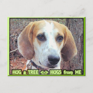 Hund Hund Tree hugger Vykort