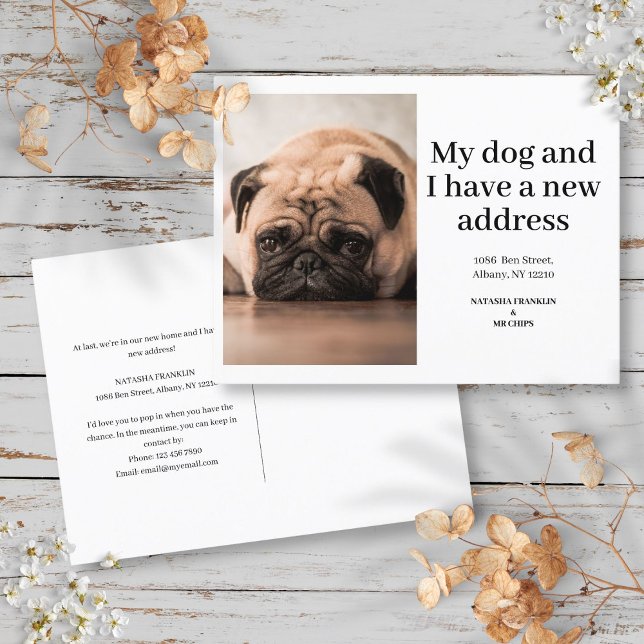 Hund Husdjur Foto Ny Adress Jag Har Flyttat Modern Meddelande Vykort (Dog Pet Photo New Address I've Moved Modern Announcement Postcard)