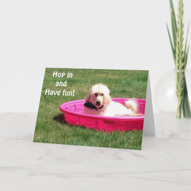 HUND I BASSÄNG SAYS JUMP IN OCH ENJY DIN BIRTHDAY KORT (Framsida)