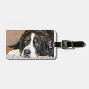 hund i bergsområden bagagebricka