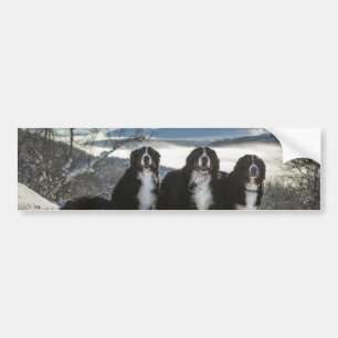 hund i bergsområden bildekal