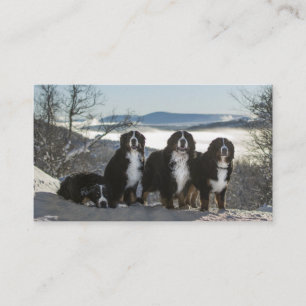 hund i bergsområden visitkort